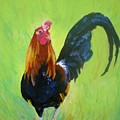 Colorful Rooster