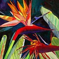 Garden of Paradise