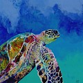 Honu 7